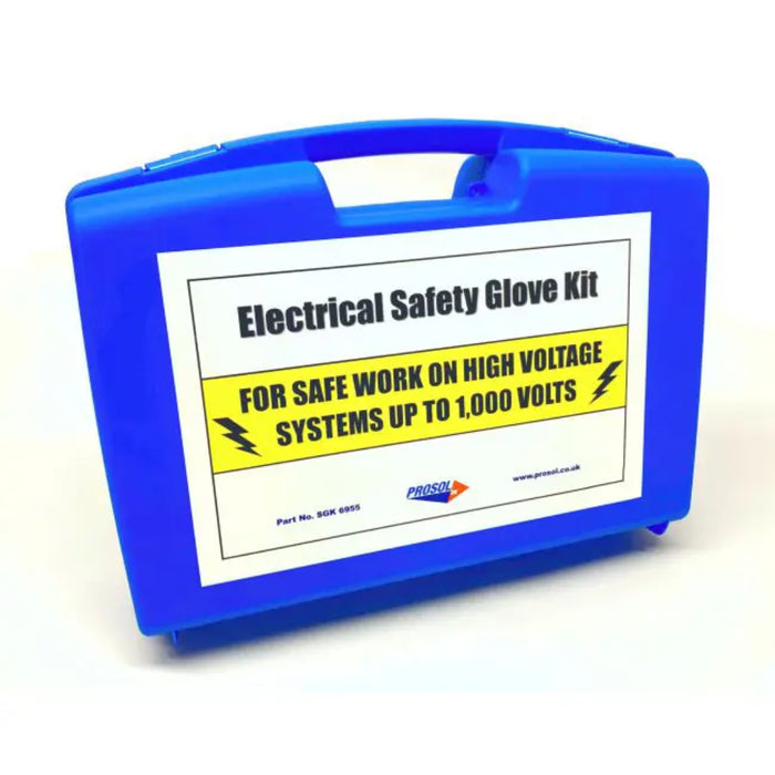 Electrical Safety Glove Kit with Storage Case - Large | SGK6955L